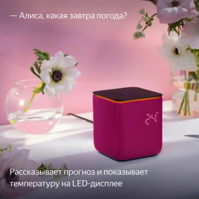 Умная колонка Яндекс Станция Миди (Малиновая)