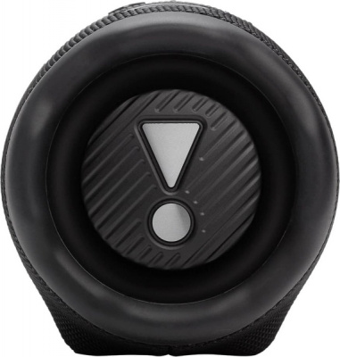 Портативная акустика JBL Charge 6 (Черная)