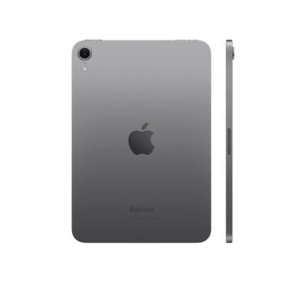 apple ipad mini (2024) wi-fi 256 gb space gray магазин Appleworld