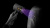 Фен Dyson Supersonic Nural HD16, Apricot Topaz