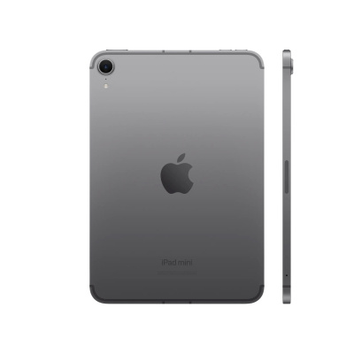 apple ipad mini (2024) wi-fi + cellular 128 gb space gray магазин Appleworld