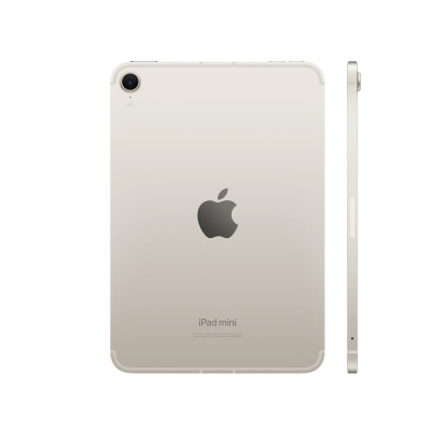 apple ipad mini (2024) wi-fi + cellular 256 gb starlight магазин Appleworld