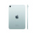 apple ipad mini (2024) wi-fi 512 gb blue магазин Appleworld