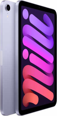 iPad mini 2021 Purple